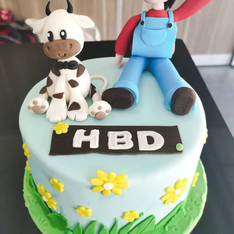 Farm Theme Fondant Cake