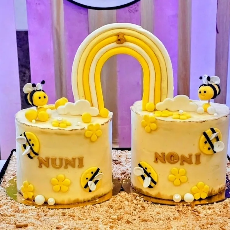 Twin Bee Theme Rainbow Cake