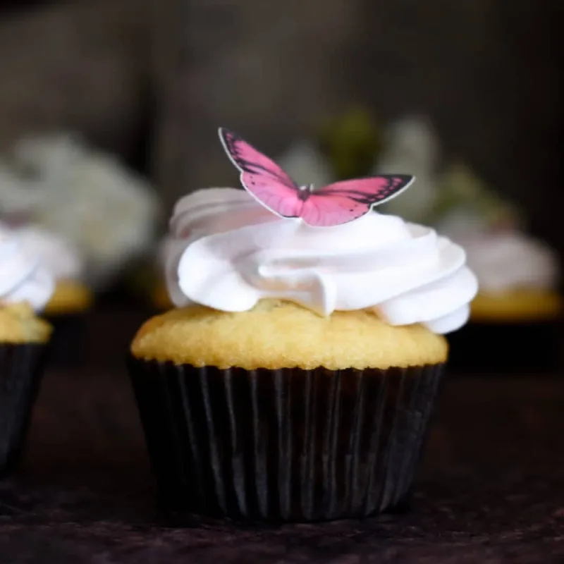 Butterfly Vanilla Cupcake