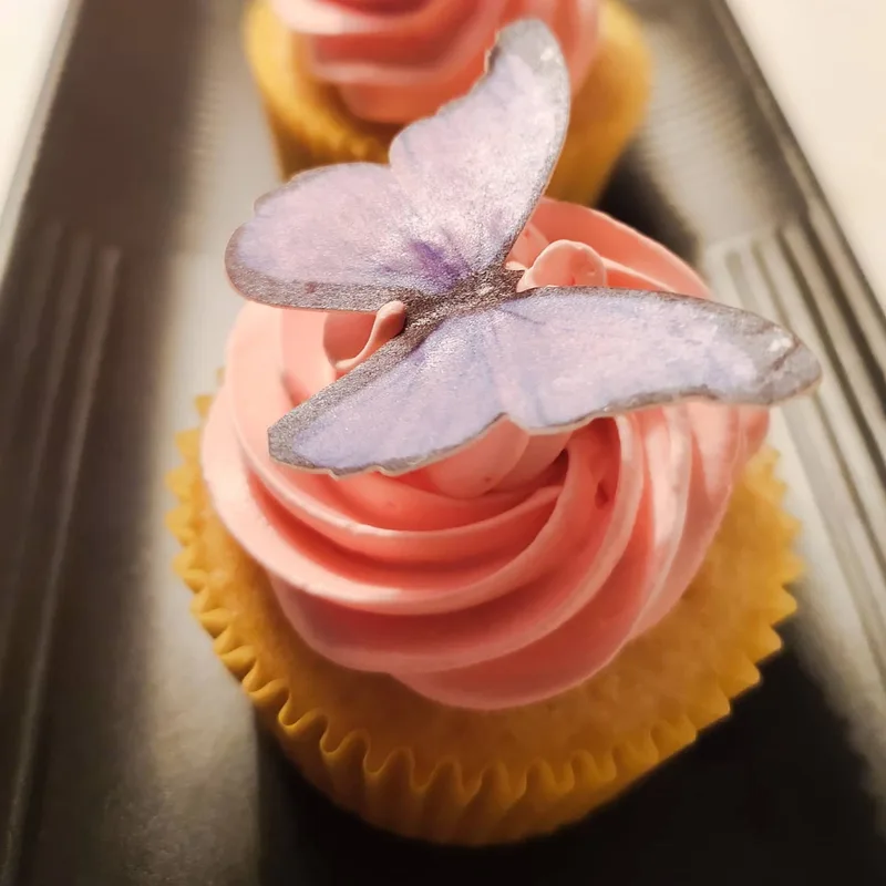 Pink Butterfly Vanilla Cupcake